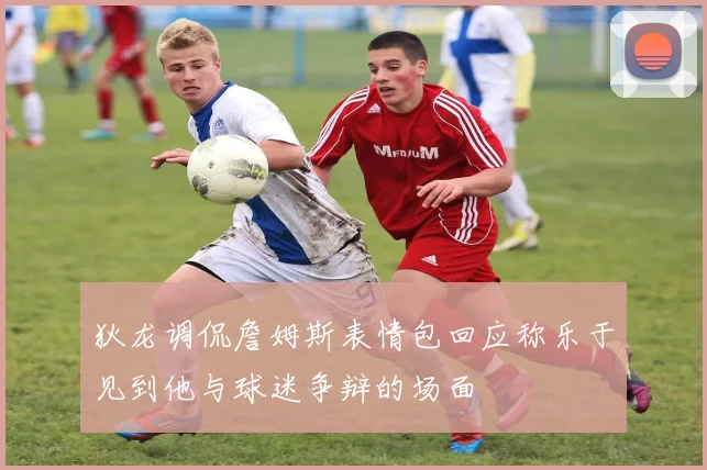狄龙调侃詹姆斯表情包回应称乐于见到他与球迷争辩的场面