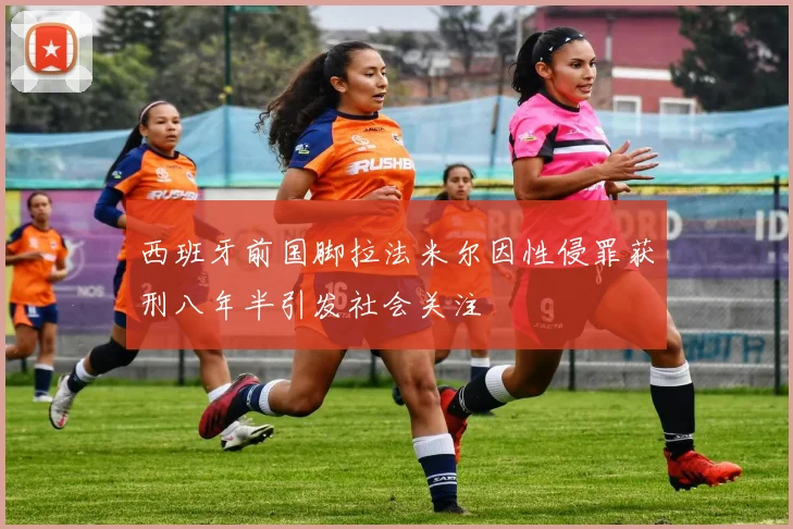 西班牙前国脚拉法米尔因性侵罪获刑八年半引发社会关注